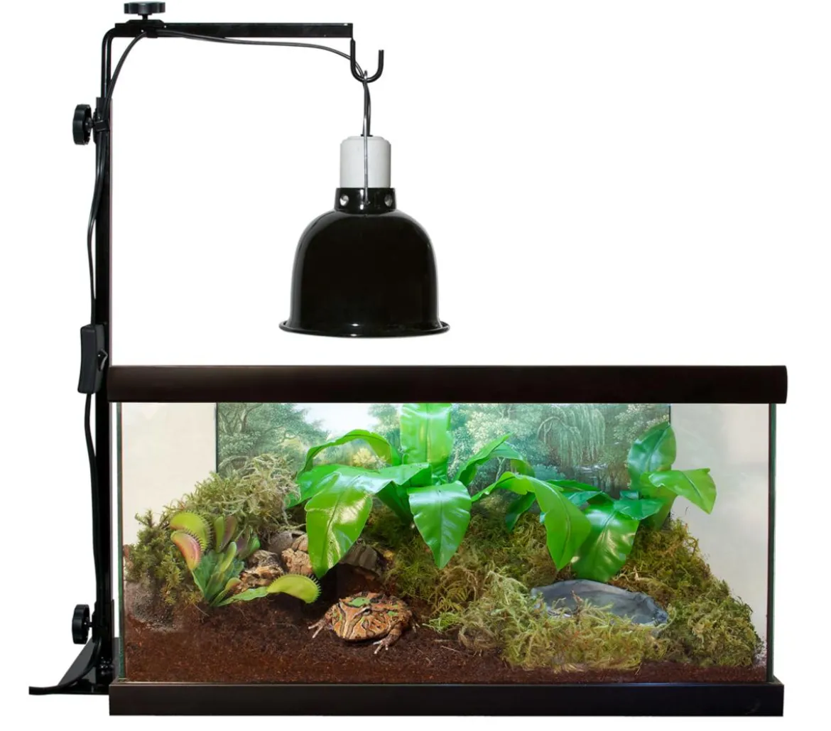 Zoo Med Mini Deep Dome Lampenfassung