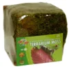 ZooMed Terrarium Bodengrund Terrarium Moos Minibale