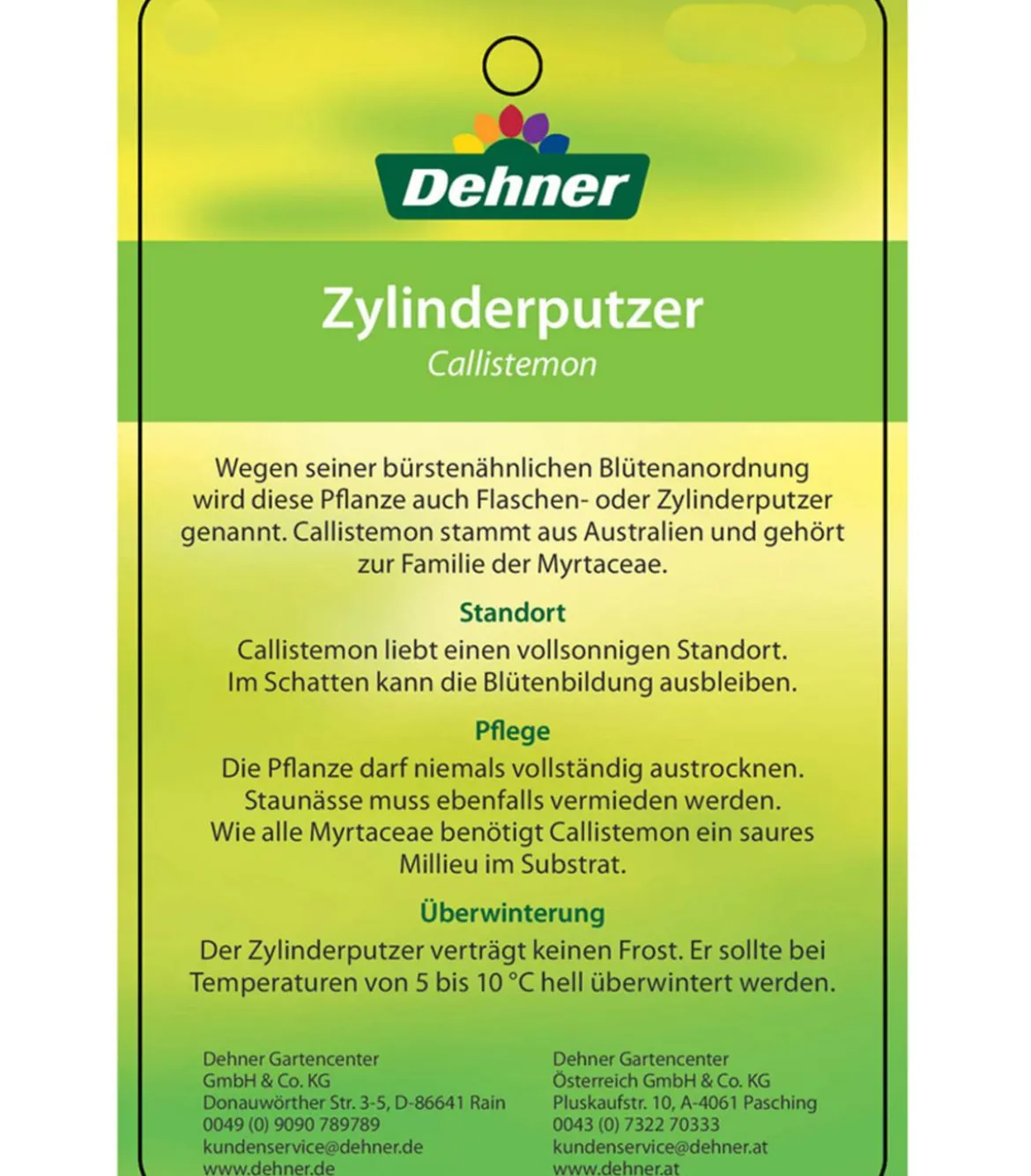 Zylinderputzer, Busch